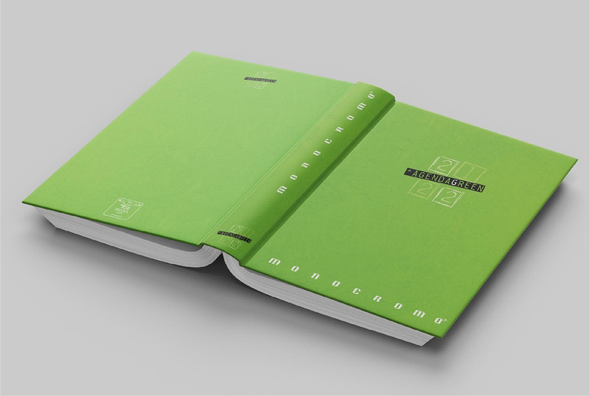 Progetto Pigna Progetto Pigna