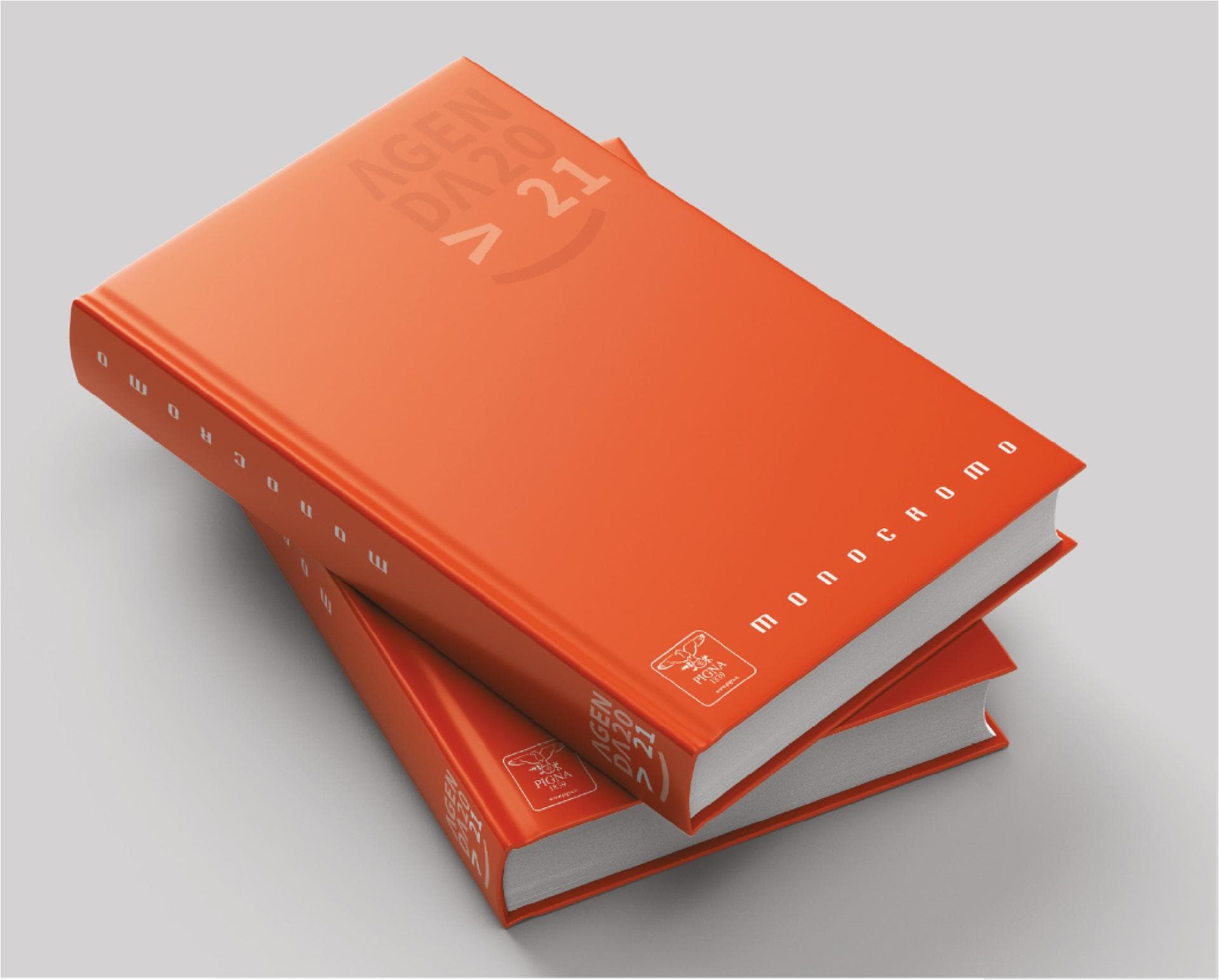 Progetto Pigna Progetto Pigna