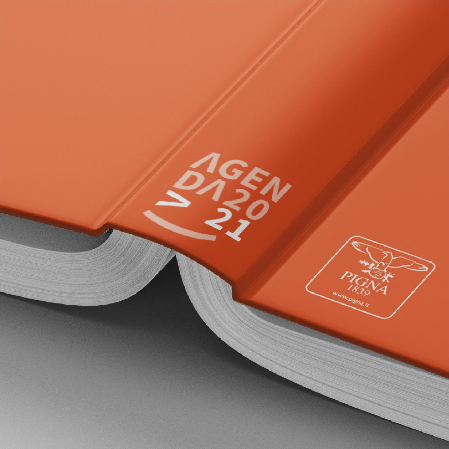 Progetto Pigna Progetto Pigna